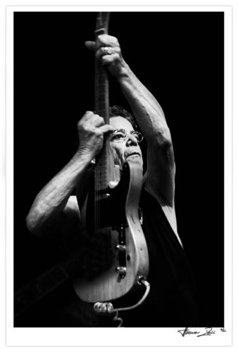 Lou Reed, Wiesen 2012