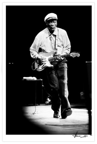 Chuck Berry, Vienna 2008
