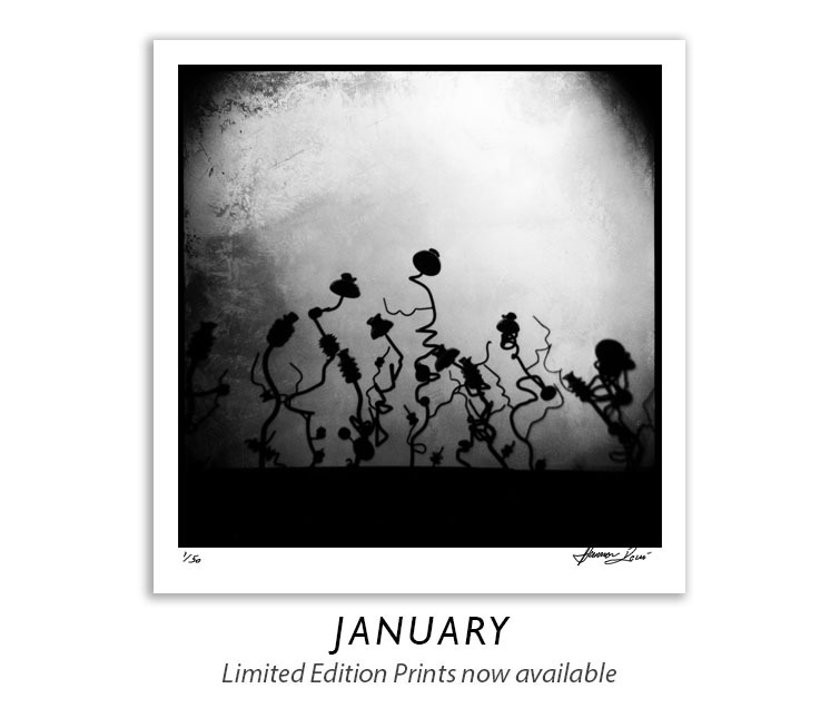 January_Front