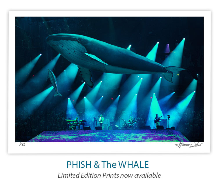 Phish_Whale